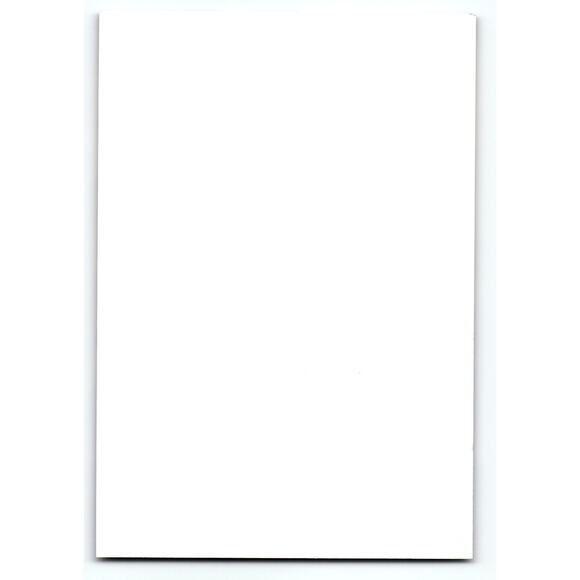 Vintage Halloween Photochrome Postcard Two Gothic Children with Roses - Picture 2 of 2